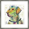 Labrador Retriever Art Framed Print