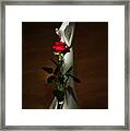 Lady And Rose Framed Print