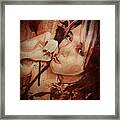 Lady And The Joint Framed Print