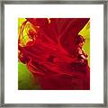 Lady In Red Ink Framed Print