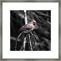 Lady In Waiting Framed Print