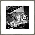 Lady Laundry
#blackandwhitephotography Framed Print