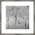 Lake Abstract Framed Print