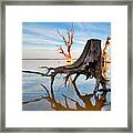Lake Bonney At Daybreak Framed Print