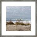 Lake Erie Sand Dunes Dry Grass And Ice Framed Print
