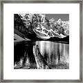 Lake Moraine Drift Wood Framed Print