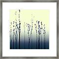 Lake Shoji Spring Framed Print