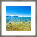 Lake Tahoe Shore Framed Print