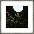 Lamp Post Framed Print