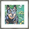 Lancashire Heeler Framed Print