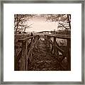 #landscape #bridge #family #tree Framed Print