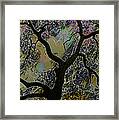 Trees Photography - Stormy Tree Framed Print