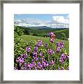 Landscape With Purple Flowers Framed Print