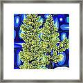 Larch Dreams 3 Framed Print