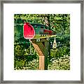 Largemouth Bass Lure Mailbox Framed Print