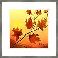 Last Leaves Framed Print