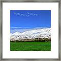 Late Spring View Framed Print