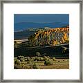 Late Stand Framed Print