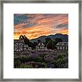 Lavender Fields Framed Print