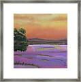 Lavender Fields In A Golden Sunset Framed Print