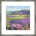 Lavender Fields In Old Provence Framed Print