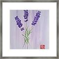 Lavender Framed Print