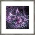 Lavender Web Framed Print