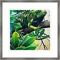 Lazin' Iguana Framed Print