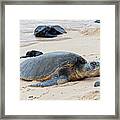 Lazy Day At The Beach Framed Print