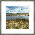 Lb Seagull Pond Framed Print