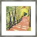 Lead Me Framed Print