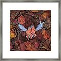 Fall Leaf Fairies Framed Print