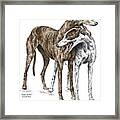 Lean On Me - Greyhound Dogs Print Color Tinted Framed Print