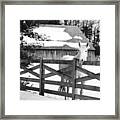 Leaning On The Fence Framed Print