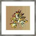 Leaves Of Many Shades Framed Print