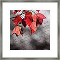 Leaves Of Red Framed Print
