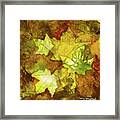 Leaves Framed Print
