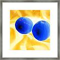 Lemon Blue Framed Print