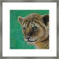 Leonidas   The Young Lion King Framed Print