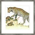 Leopard Family Framed Print