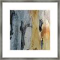 Leopard Tree Bark Abstract No 2 Framed Print