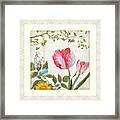 Les Magnifiques Fleurs I - Magnificent Garden Flowers Parrot Tulips N Indigo Bunting Songbird Framed Print