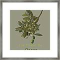 Let There Be Peace Olive Branch And Text Framed Print
