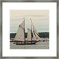 Lewis R French Full Sail In Rockland Harbor Framed Print
