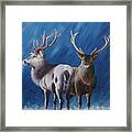 Light And Dark Stags Framed Print