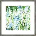Light Blue Grape Hyacinth. Framed Print