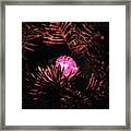 Light Framed Print