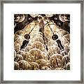 Light Globes-5 Framed Print