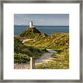Lighthouse Twr Mawr Framed Print