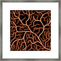 Lightning - Orange Framed Print